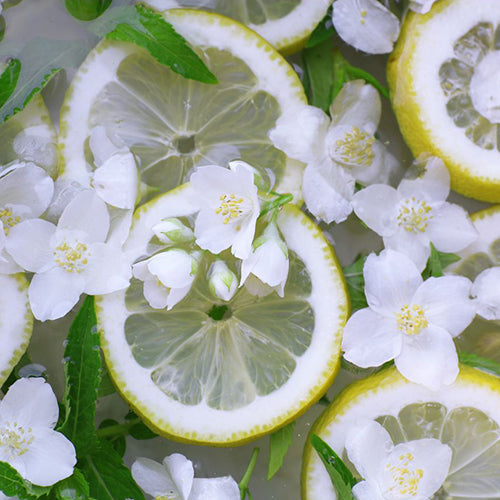 Lemon Verbena Roll-On